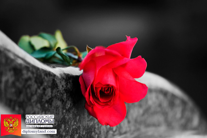 Свидетельство о смерти Свидетельство о смерти